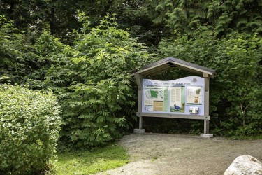 4467 W 16TH AVENUE, Vancouver, BC